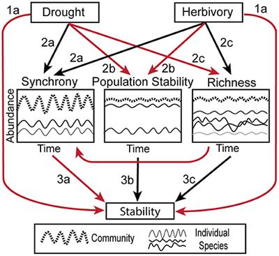 Herbivory and Drought Reduce the Temporal Stability of Herbaceous Cover by Increasing Synchrony in a Semi-arid Savanna